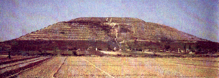 Bepflanzung
